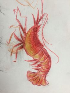 a drawing of a red and yellow fish