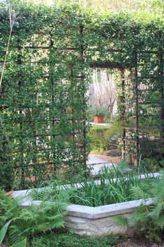 a garden with lots of green plants growing on the walls and around it is a stone planter