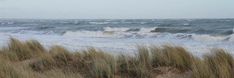 an ocean view with waves crashing on the shore and grass growing in the foreground