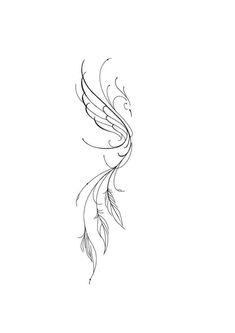 a black and white drawing of a bird with long feathers on it's tail