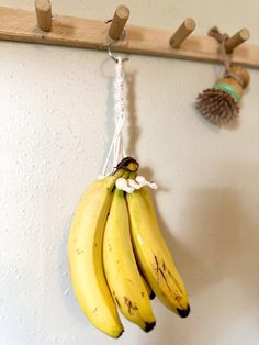 three bananas hanging from hooks on a wall with pine cones in the backgroud