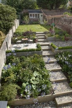 an outdoor garden with stone steps and plants