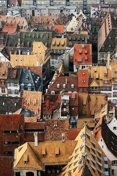 an aerial view of the roofs of many buildings in a large city with tall buildings