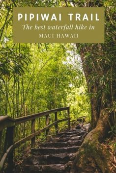 stairs leading up to the top of a tree covered hill with text overlay reading,'the best waterfall hike in mau hawaii '