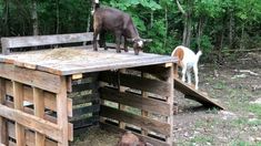 two goats are standing on top of a wooden structure