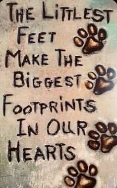 the littlest feet make the biggest footprints in our hearts