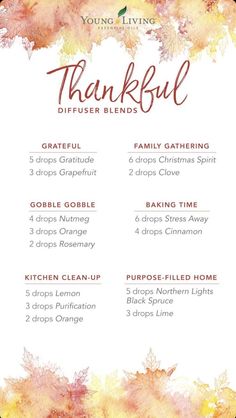 Thanksgiving Diffuser Blends, Young Living Diffuser Recipes, Young Living Essential Oil Diffuser, Diffuser Blends Young Living, Fall Essential Oil Blends, Young Living Oils Recipes, Fall Essential Oils, Fall Diffuser Blends, Essential Oil Diffuser Blends Recipes