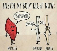 Inside my body right now... Gym Humour, Fitness Memes, Laughing Funny, Jillian Michaels, Cardio Training, Gym Quote, Workout Memes, Gym Memes, Motivation Fitness