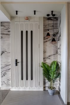 a plant in a pot sitting next to a white door with black bars on it