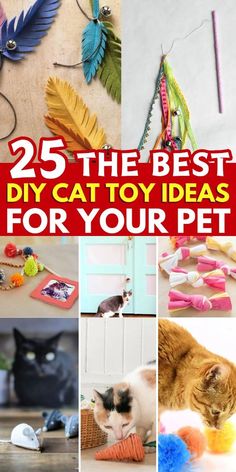 the 25 best diy cat toy ideas for your pet is featured in this article