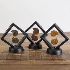 three different types of seashells in glass on wooden table