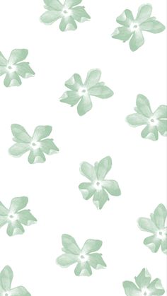 green and white flowers on a white background