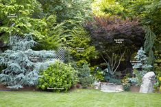 a garden with trees, bushes and rocks