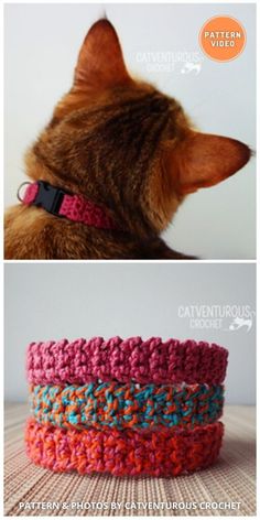 a cat sitting on top of a wooden table next to a bowl filled with yarn