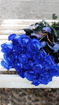 a bunch of blue roses sitting on top of a wooden bench