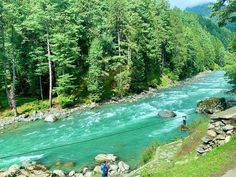 a man is fishing in the river near some trees