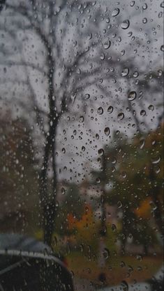 rain is falling down on the windshield of a car as it sits in front of a tree