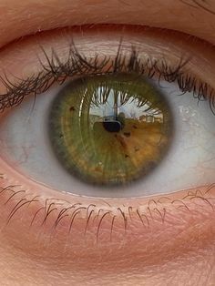 Hetrochormia Eyes Brown And Green, Pale Hazel Eyes, Olive Green Eyes Aesthetic, Muddy Green Eyes, Golden Green Eyes, Green Hazel Eyes Aesthetic, Hazel Green Aesthetic, Hazel Green Eyes Aesthetic, Light Hazel Eyes