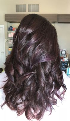 Brown Hair With Purple And Red Highlights, Chocolate Brown Hair With Purple Streaks, Plum Purple Highlights Brown Hair, Brunette With Violet Highlights, Dark Purple Highlights Light Brown Hair, Purple Highlights On Dark Brown Hair, Dark Brown Hair With Violet Highlights, Violet Lowlights In Brown Hair, Brown And Violet Hair