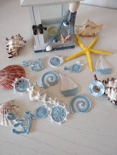 sea shells and seashells are arranged on the table