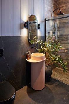 a bathroom with a sink and mirror next to a potted plant in the corner