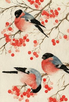 two birds sitting on branches with red berries