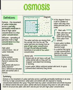 an article about osmosis on a piece of paper with green writing and diagrams