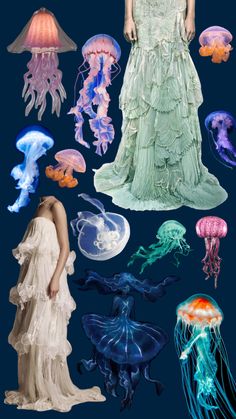 an assortment of jellyfish and other sea creatures