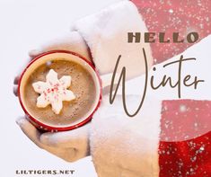 100+ Best Hello Winter Quotes and Wishes First Day Of Winter Quotes, Winter Phrases, Short Winter Quotes, Quotes About Winter, Sayings For Kids, Winter Captions, Deborah Kerr, First Day Of Winter, Winter Books