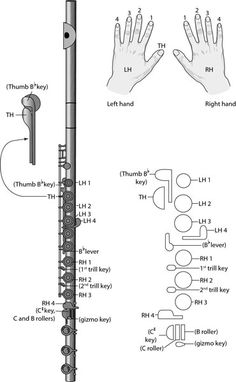 an instruction manual for the flute and hand positions in which it is used to play