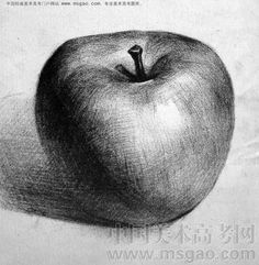 a pencil drawing of an apple on paper