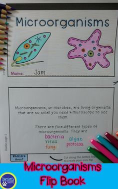 the microorganisms flip book with pencils on it