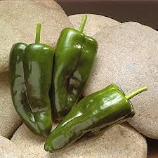 three green peppers sitting on top of some rocks