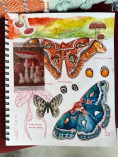 Sketchbook page of moths Atlas Moth Drawing, Moth Study Drawing, Moth Drawings, Insect Sketchbook, Moth Pencil Drawing, Detailed Moth Drawing, Comet Moth, Butterfly Textiles Sketchbook, Moth Gouache