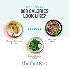 what does 800 calories look like?