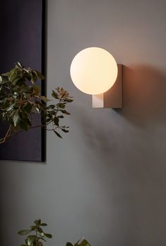 a white light on the wall next to a potted plant and framed photograph in grey room