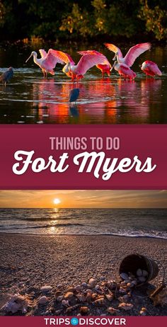 the cover of things to do in fort myers, with flamingos flying over water