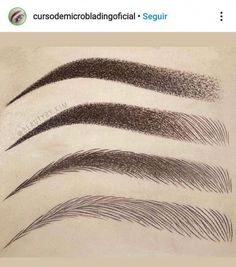 Microblading Eyebrows Training, Different Eyebrow Shapes, Mircoblading Eyebrows, Eye Makeup Guide, Ombre Eyebrows, Best Eyebrow Makeup, Membentuk Alis, Phi Brows, Bentuk Alis