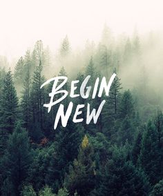 the words begin new are written in front of a forest filled with tall, green trees