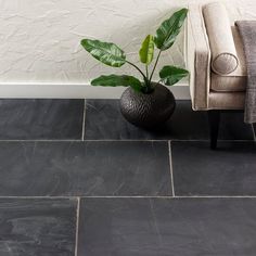 a potted plant sitting on top of a black tile floor next to a chair