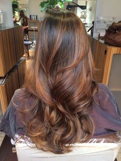 Autumn Brown Hair With Highlights, Reddish Caramel Highlights, Cinnamon Brown Highlights Dark Hair, Ginger Gloss On Brown Hair, Auburn Brown Highlights In Brown Hair, Honey Red Highlights On Brown Hair, Dyed Hair Brown Highlights, Dark Brown Ginger Balayage, Caramel Balayage Layered Hair