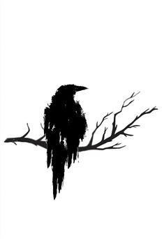 a black bird sitting on top of a tree branch with no leaves in the shadow