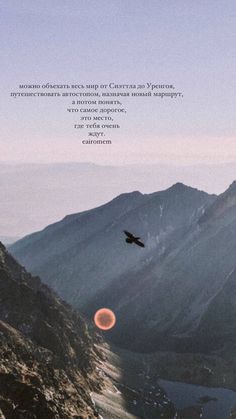 a bird flying in the sky over mountains with a quote below it that reads, there is no image here