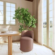 a living room with a table, chair and potted plant