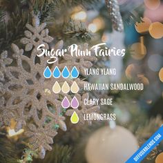 Professional Cleaning Tips, Christmas Diffuser Blends, Săpunuri Handmade, Fairy Christmas