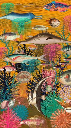 an underwater scene with fish and corals