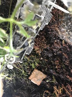 an ice chair sitting on top of a patch of dirt next to a tree branch