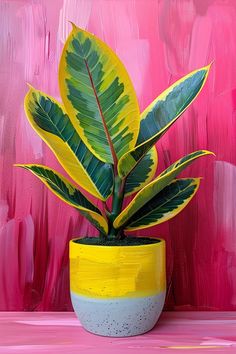 a potted plant sitting on top of a table next to a pink and yellow wall