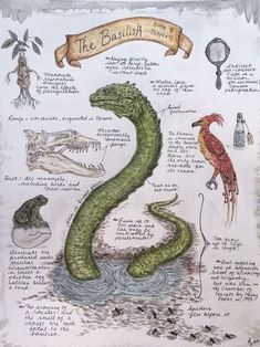 a drawing of a green snake with words on it and other things in the background