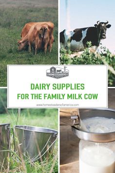 dairy supplies for the family milk cow are shown in this collage with text overlay